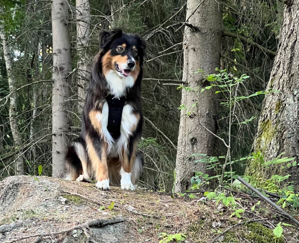 Ruby love Du Domaine Des Collines Vertes